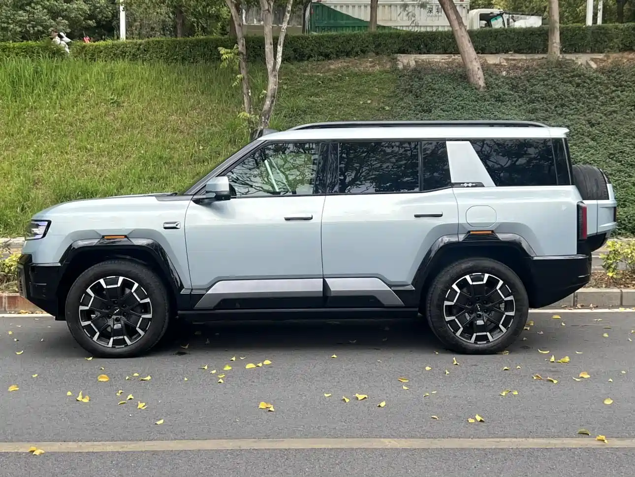 FANG CHENG BAO LEOPARD 8