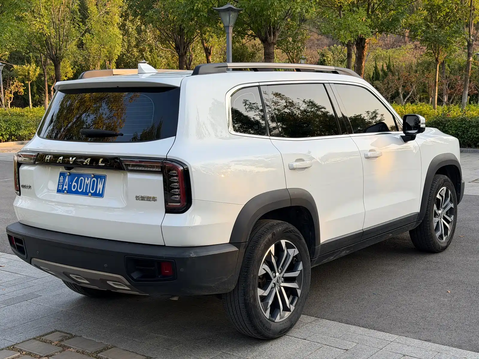 Фото 6 - Haval Dargo