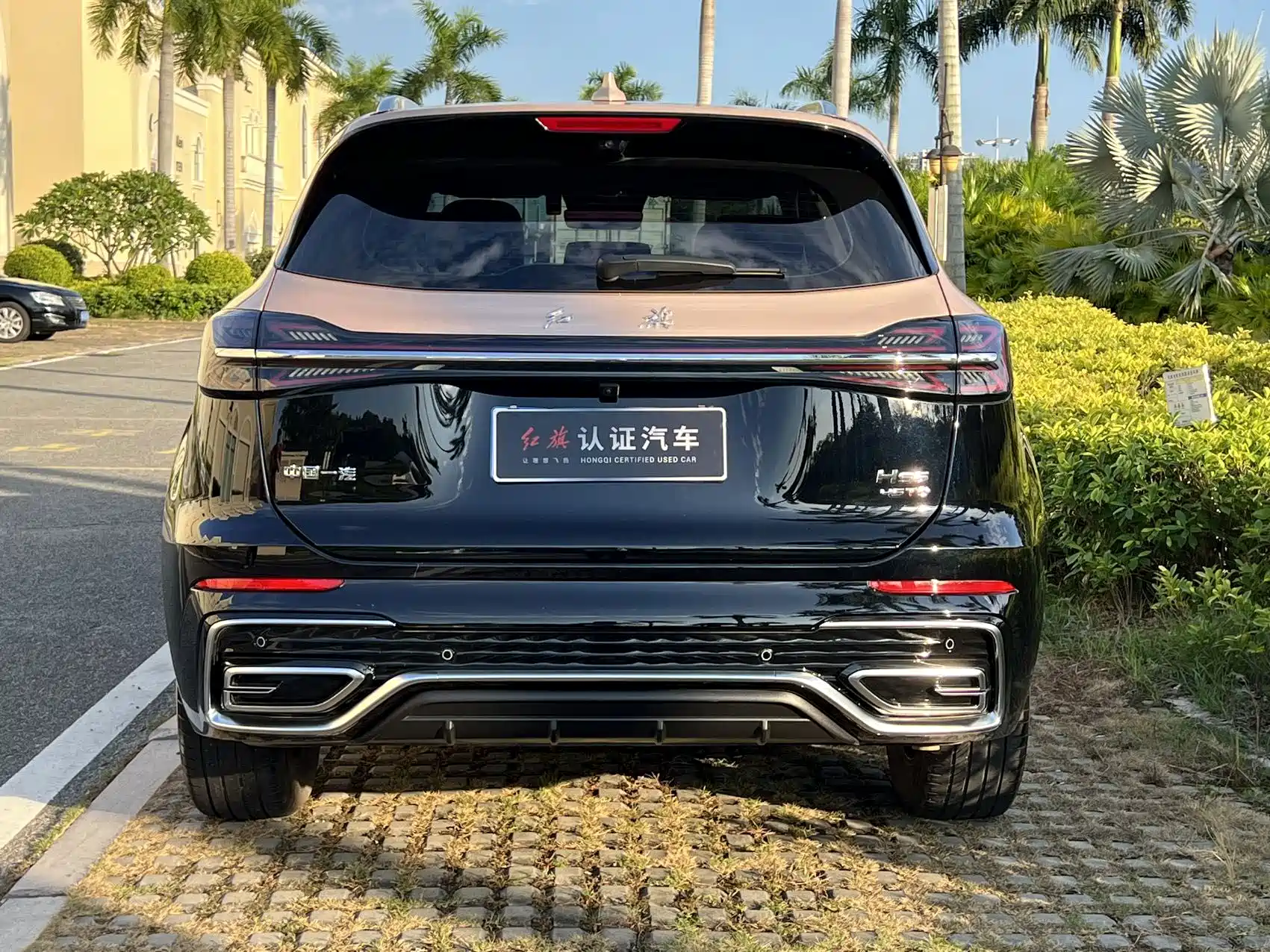 Photo 6 - Hongqi HS5