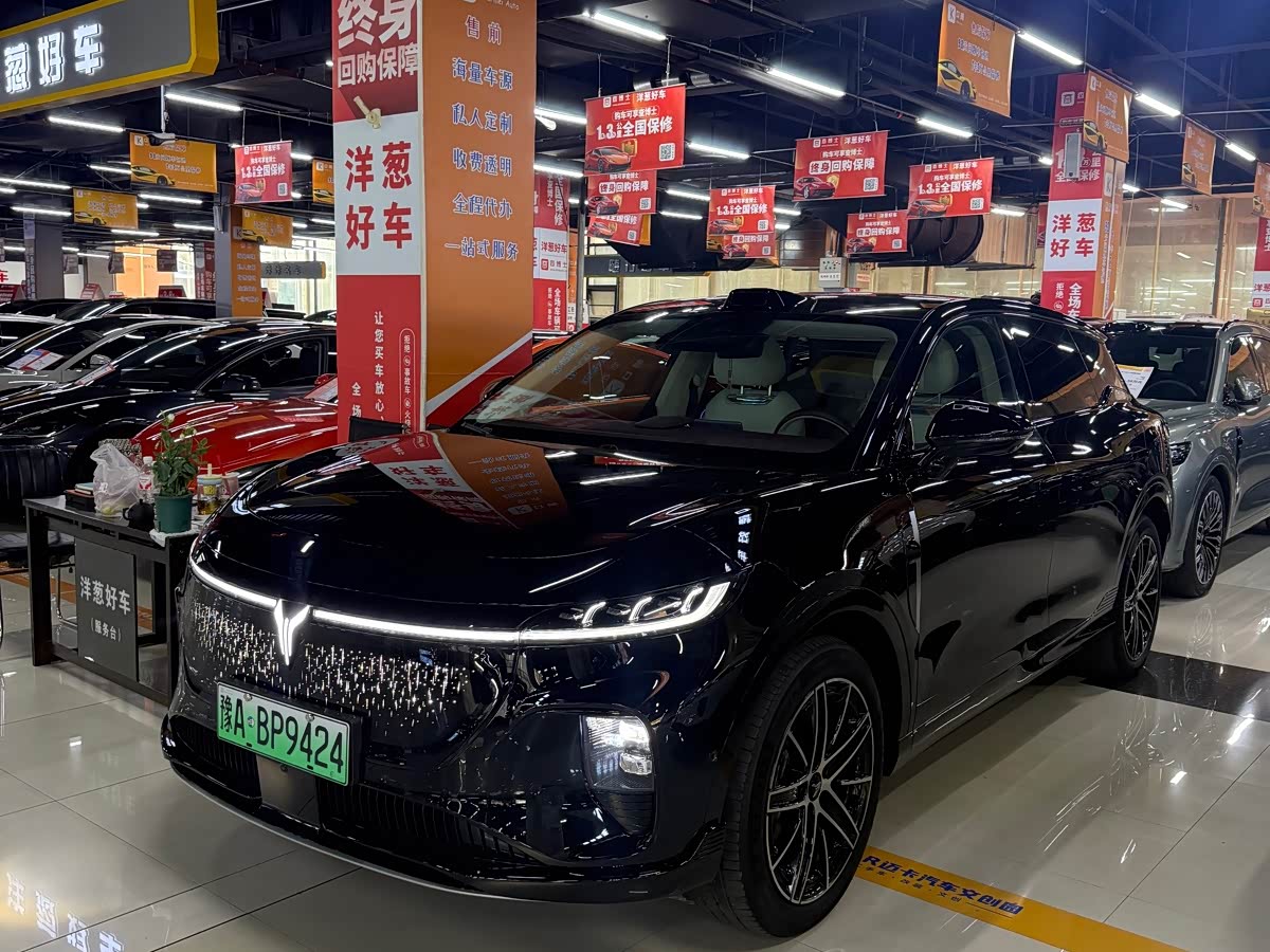 Voyah Auto Voyah Zhiyin
