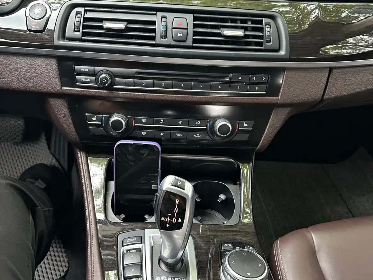 BMW 5 Series 2017 525Li Luxury Design Package фото 13