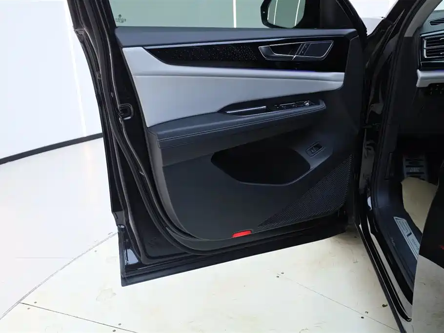 Volkswagen Teramont 2022 380TSI 4MOTION Premium Luxury фото 17