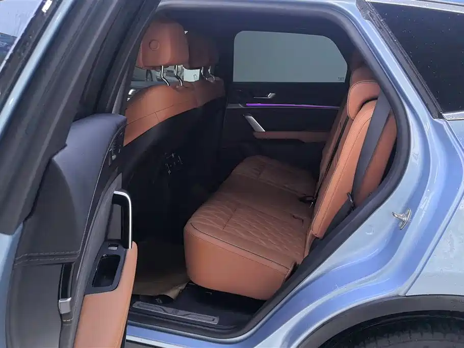 BYD Tang New Energy 2023 Model DM-i Champion Edition 112KM Premium фото 11