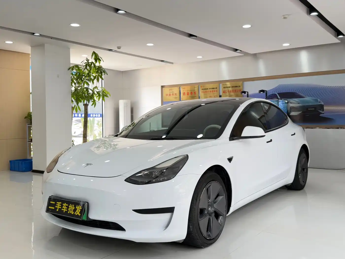Tesla Model 3 2021