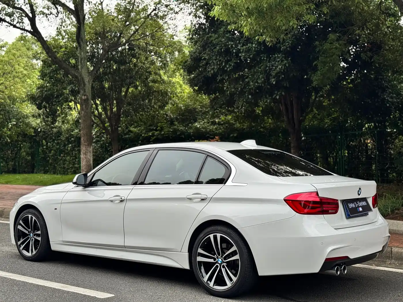 BMW 3 Series 2019 320Li M Luxury Package фото 9