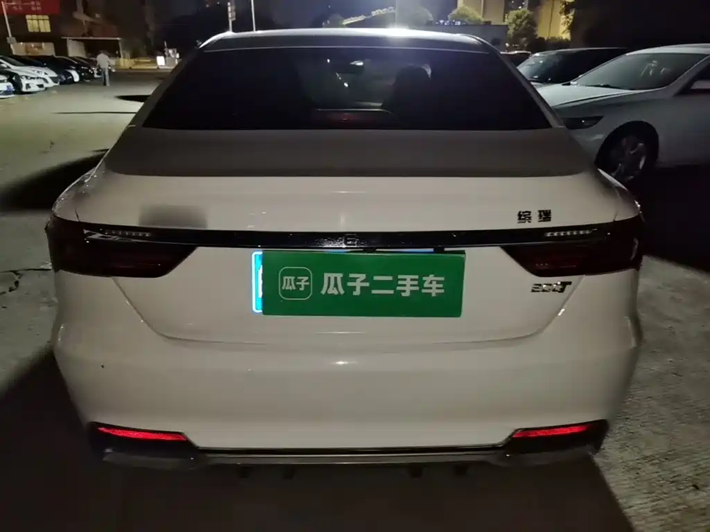 Фото 6 - Geely Binrui