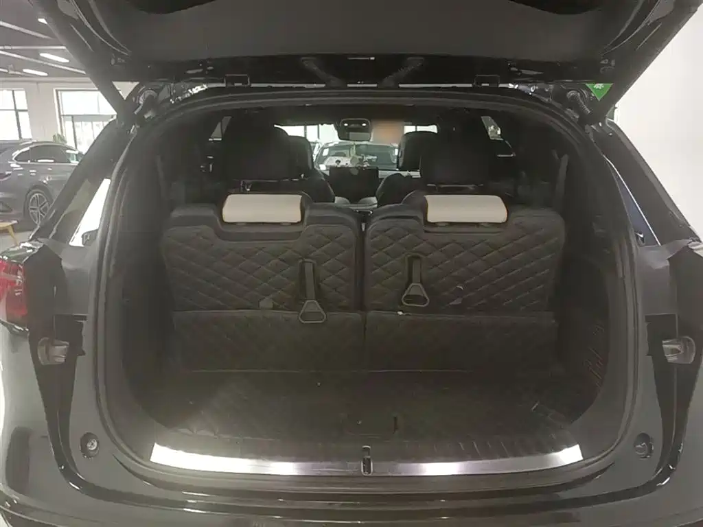BYD Tang New Energy 2024 EV Glory Edition 600KM Premium фото 19