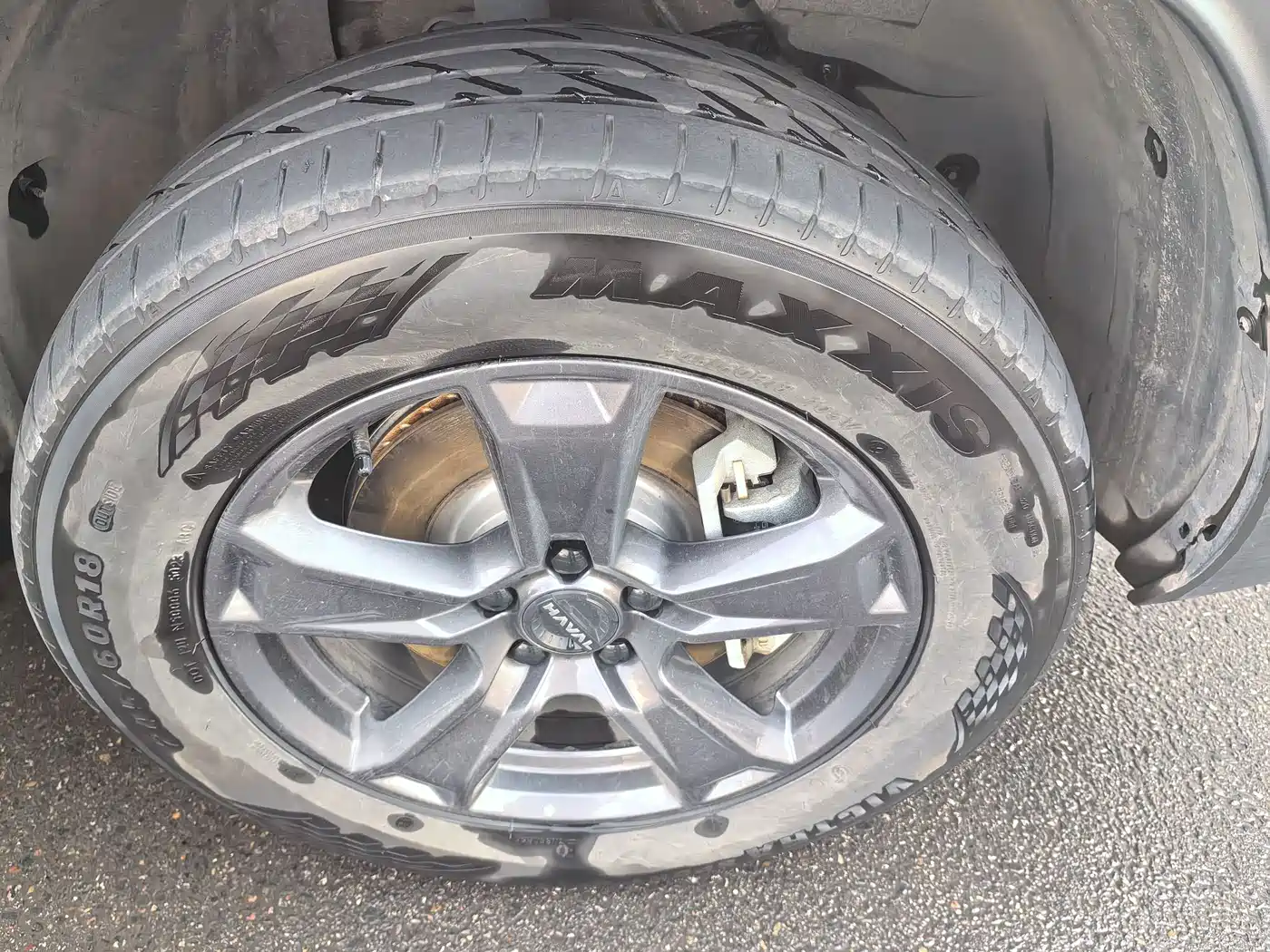 HAVAL RAPTORS NEW ENERGY