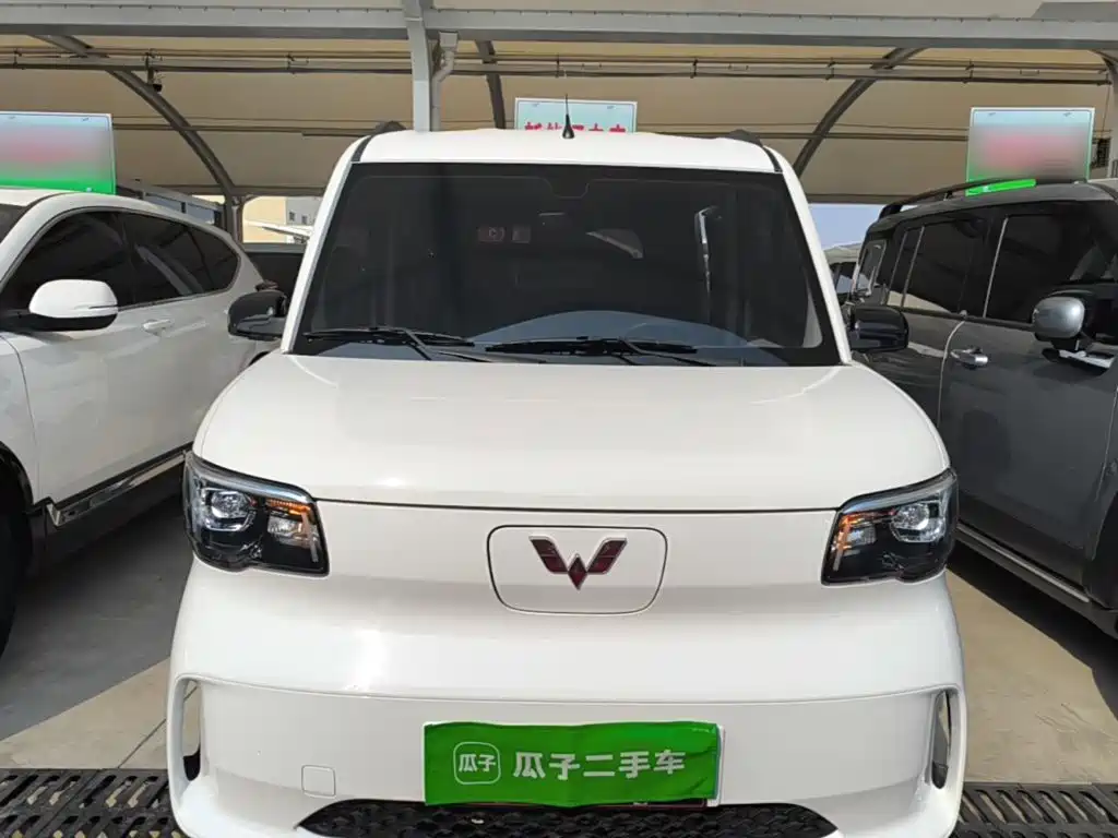 Wuling Motors Wuling Zhiguang NEV 2026 2025 Model 305km Base Version