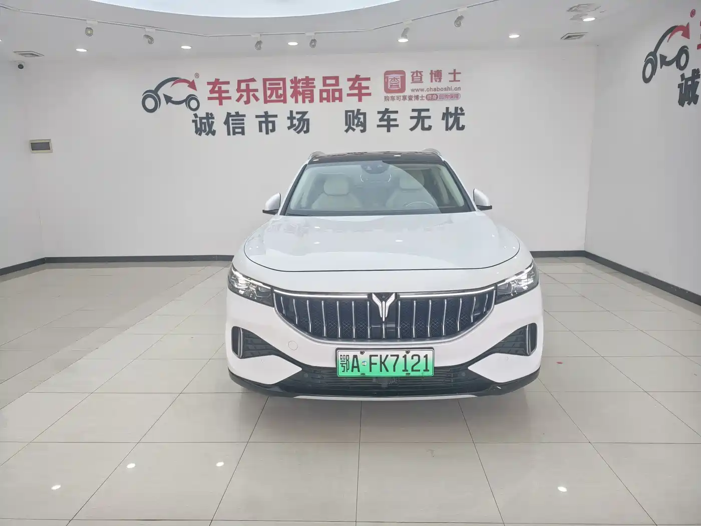 Voyah Auto VOYAH FREE 2021 AWD Standard Range Extender Exclusive Luxury Package фото 12