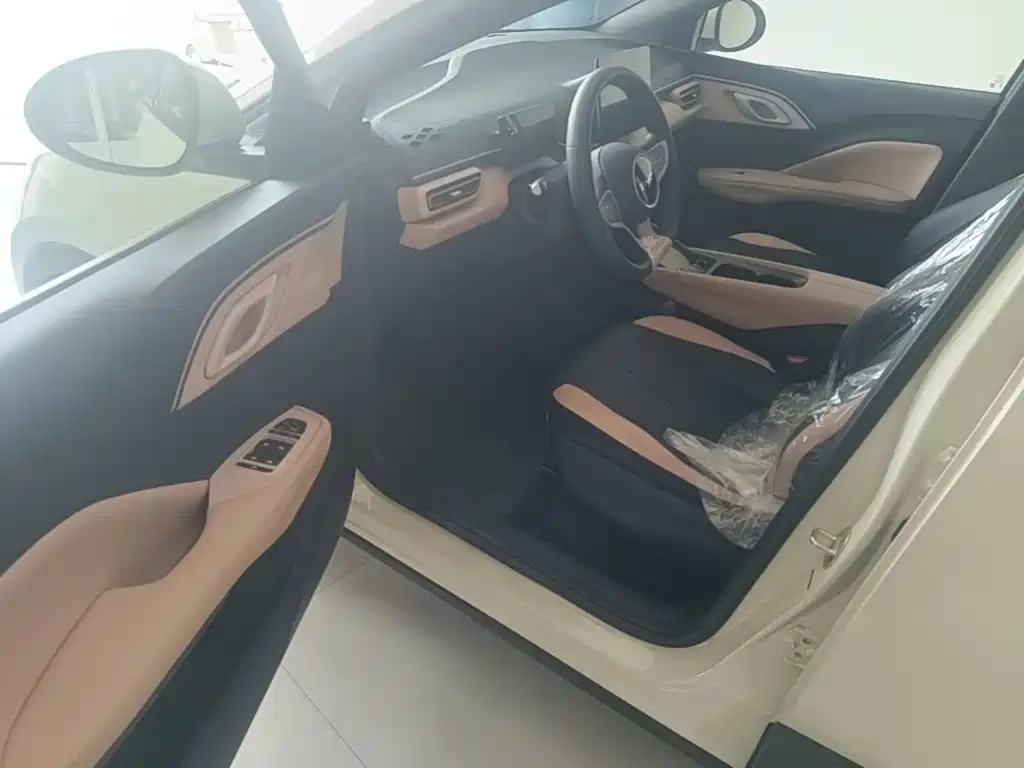 BYD Seagull 2026 2025 305km Vitality