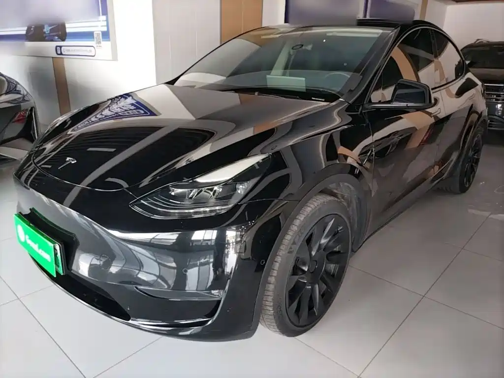 Tesla Model Y 2021 Standard Range Rear-Wheel Drive