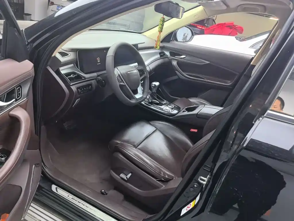 Leopaard Mattu 2019 2018 1.6T GDI DCT Luxury