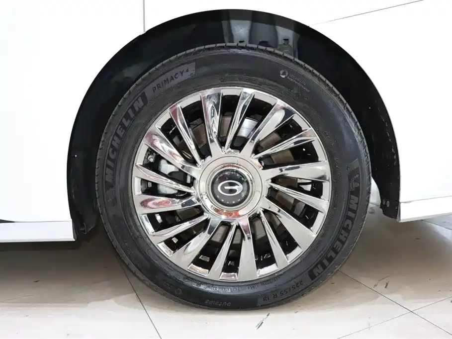 GAC Trumpchi Trumpchi M8 2023 Model Master Series Hybrid Royal Edition фото 22