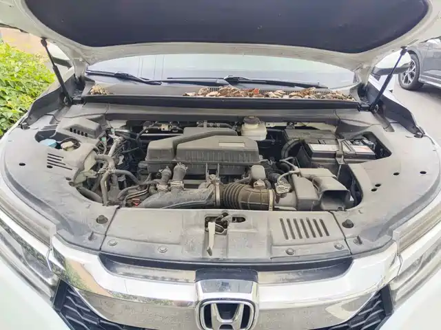 Honda Avancier 2017 240TURBO 2WD Comfort Edition — фото 3