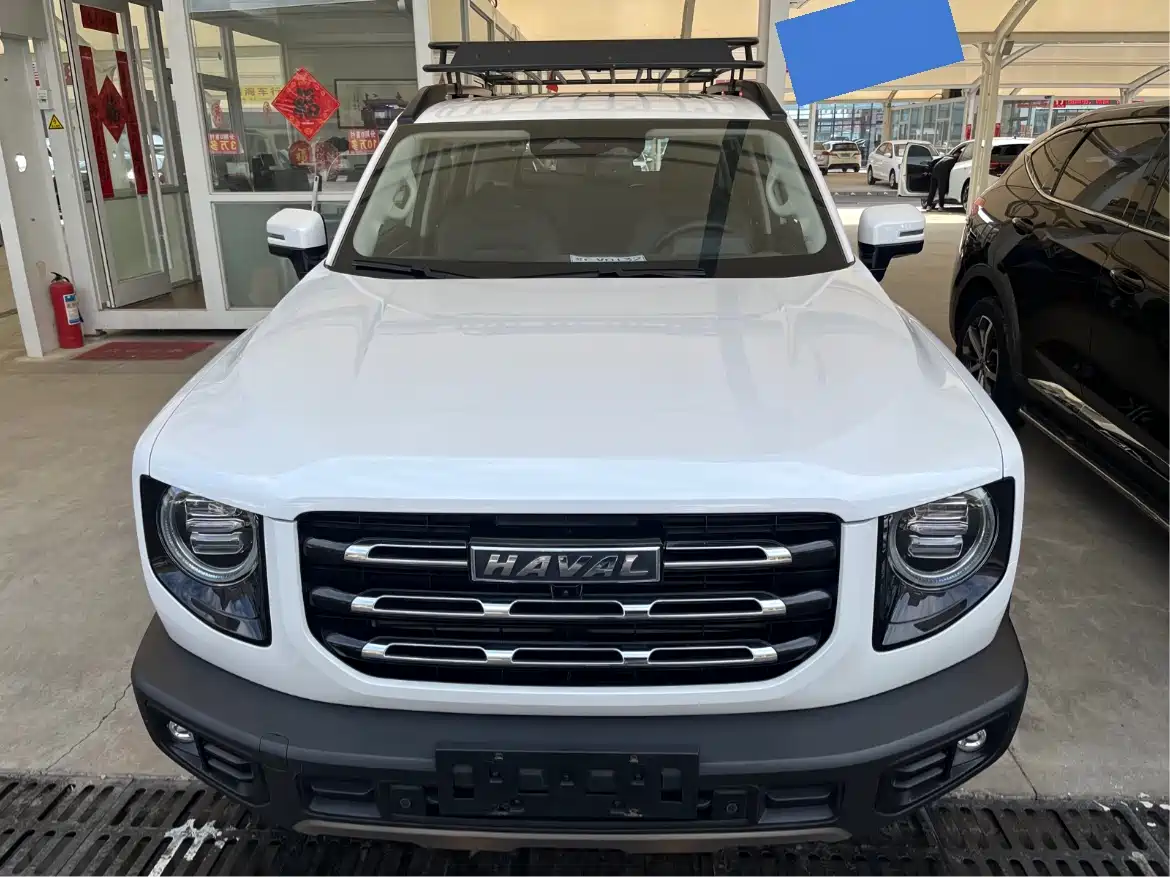HAVAL BIG DOG