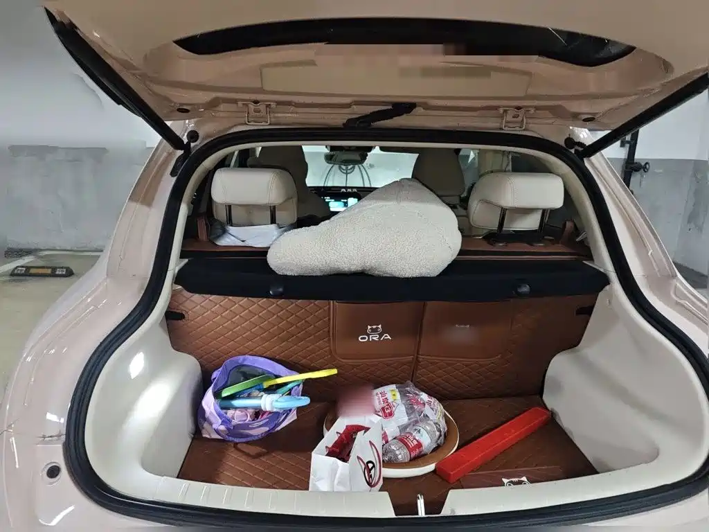 Ora Good Cat 2025 2024 401km Honor 135kW