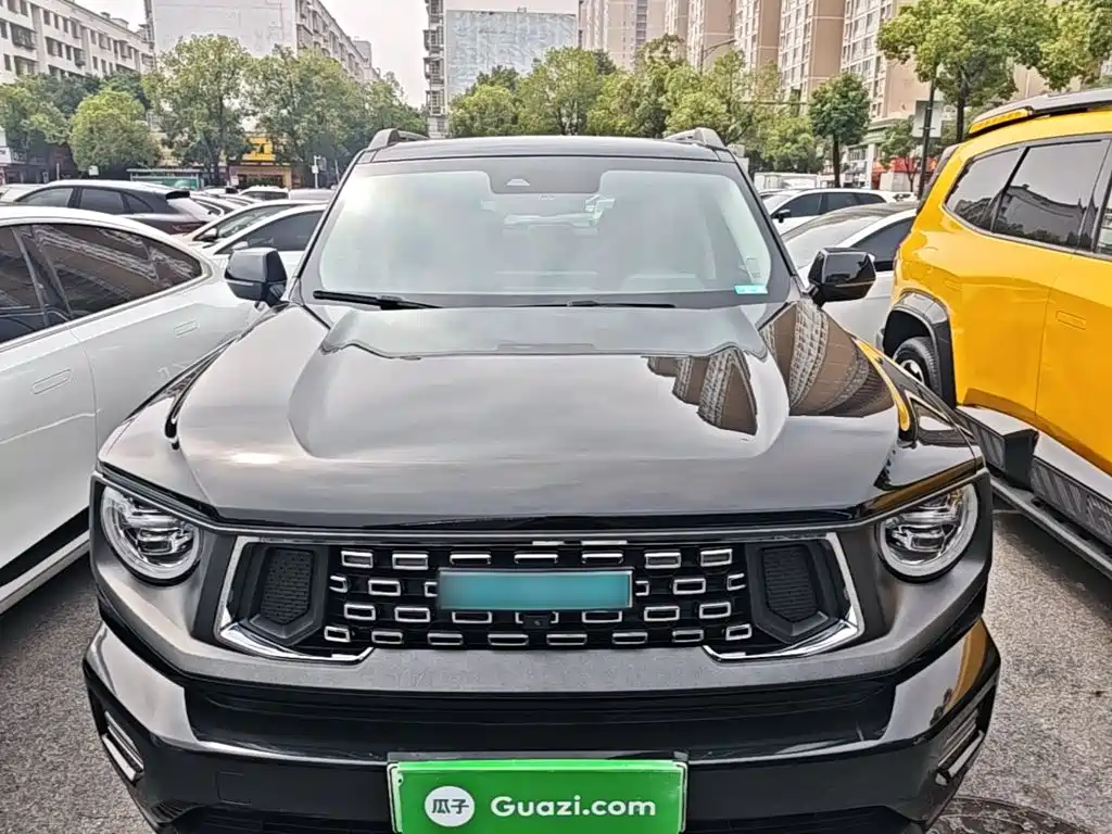 2023 Haval Second-Generation Big Dog New Energy
