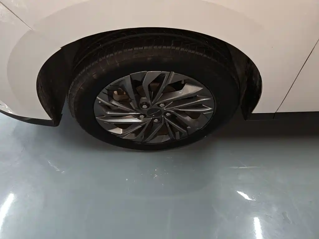 Фото 23 - SAIC Maxus Maxus G50