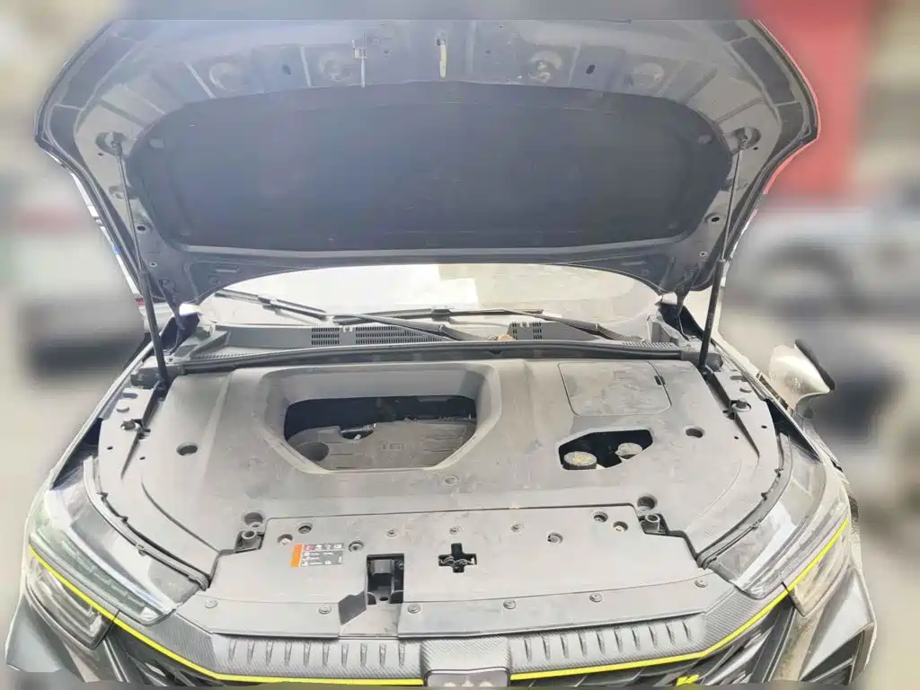 Photo 9 - Roewe RX5