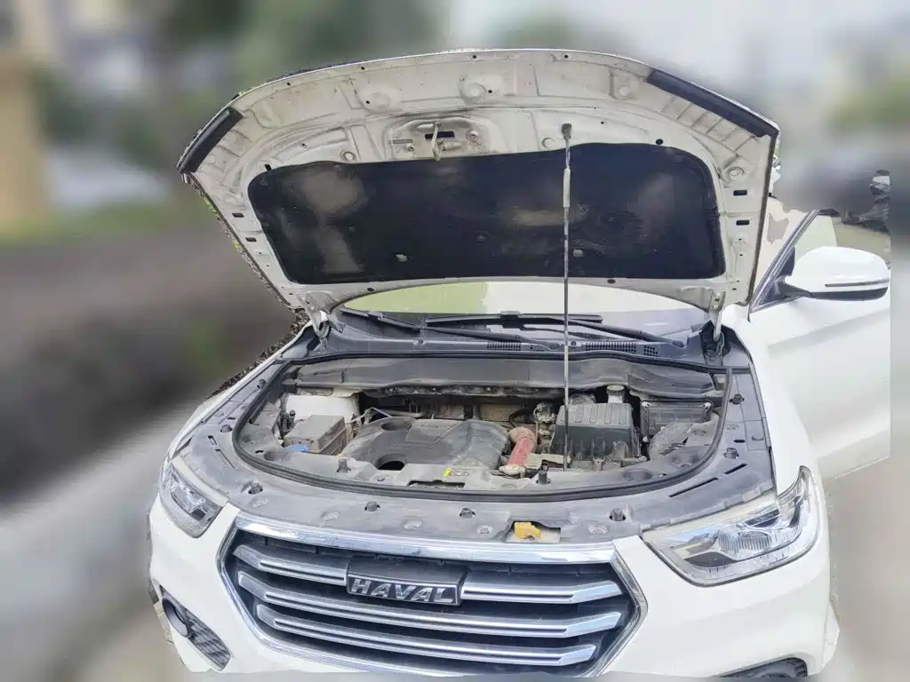 Фото 3 - Haval H2