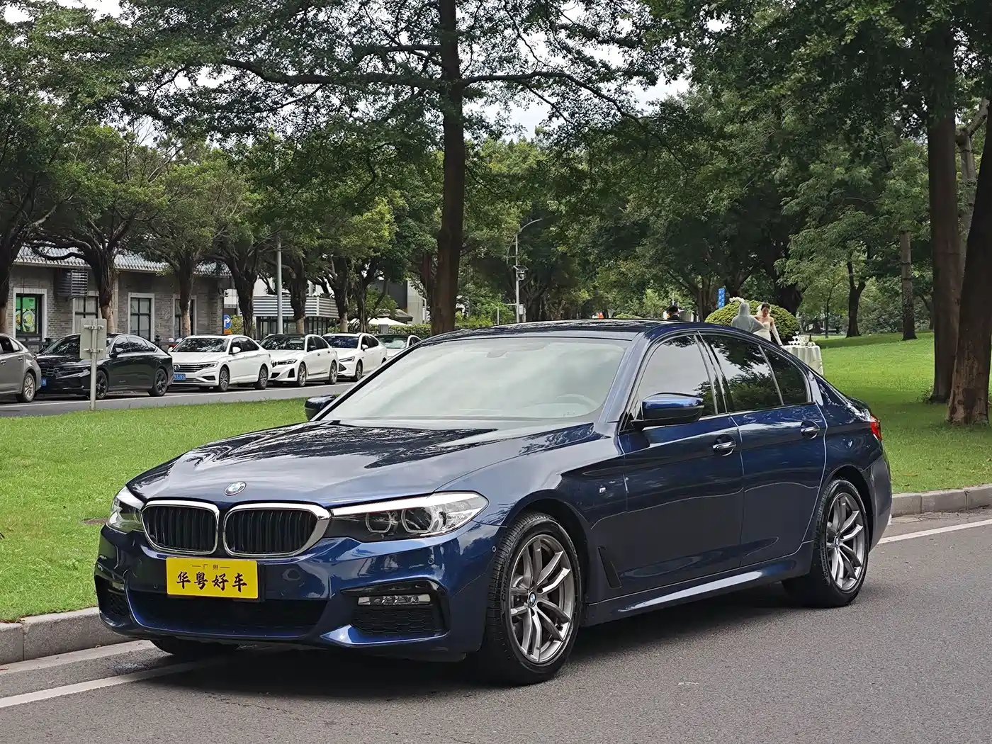 BMW 5 Series (Import)