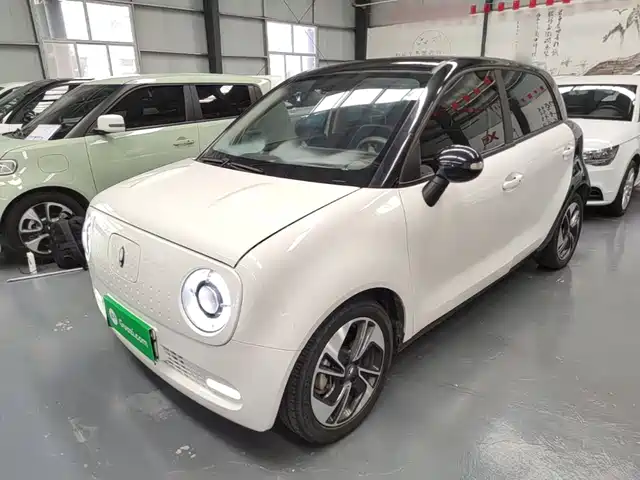  Ora Ora Black Cat 2022 351km Comfort Edition LFP