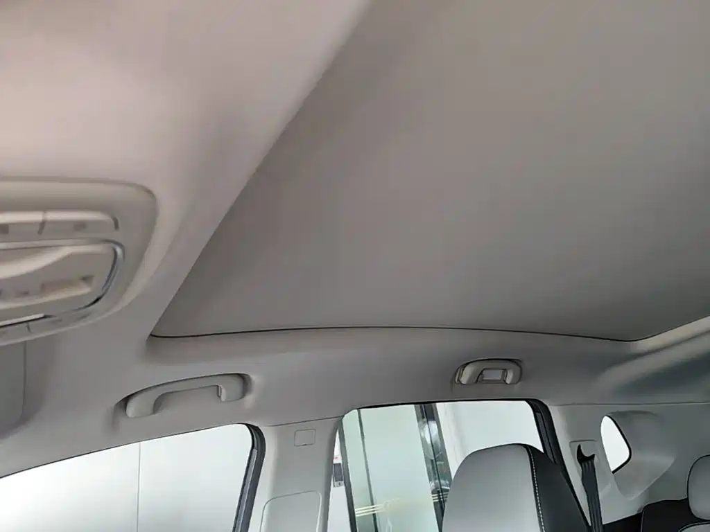 Roewe RX5 New Energy 2021 2020 ePLUS Guochao Ronglin Flagship Edition