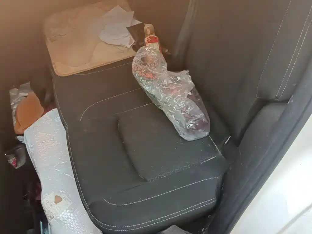 Nezha Auto Nezha V 2021 2021 Standard Range Entertainment Upgrade
