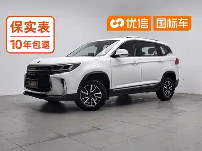 Forthing T5