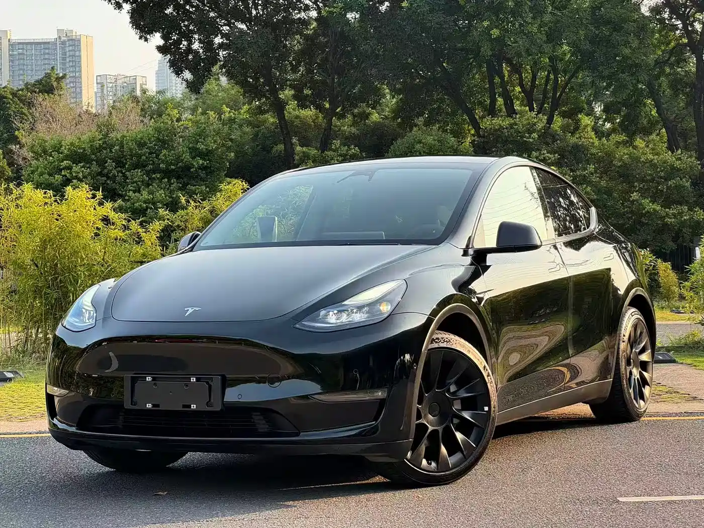 Tesla Model Y 2021 2021 Standard Range Rear-Wheel Drive