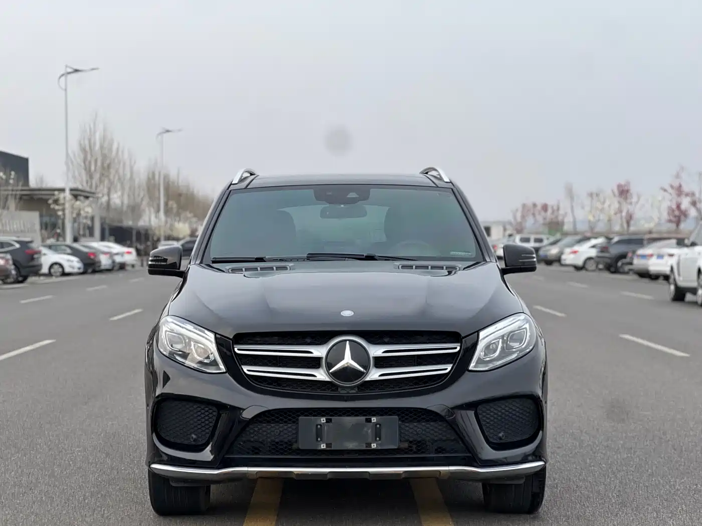 Mercedes-Benz GLE 2016 GLE 320 4MATIC Luxury фото 4