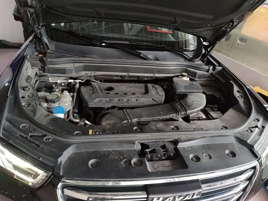 Haval H6 2020 2.0GDIT Automatic Platinum Champion Edition фото 20