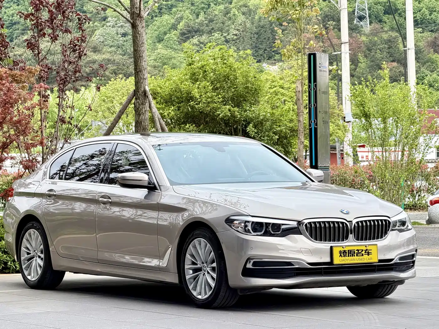 BMW 5 Series 2020 525Li Luxury Package фото 3