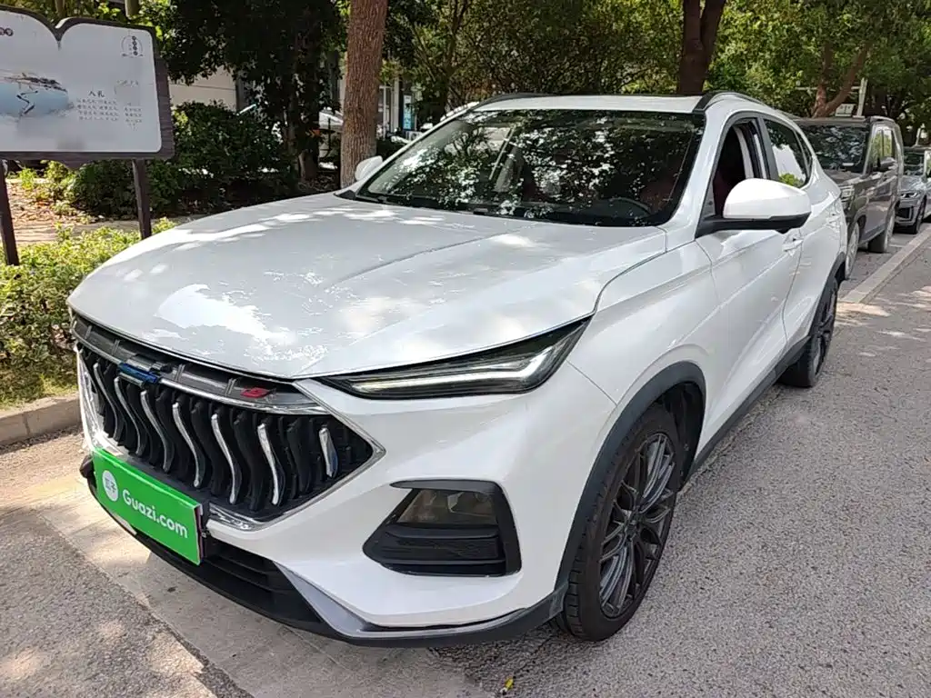 Фото 1 - Changan Oshan Changan Oushang X5