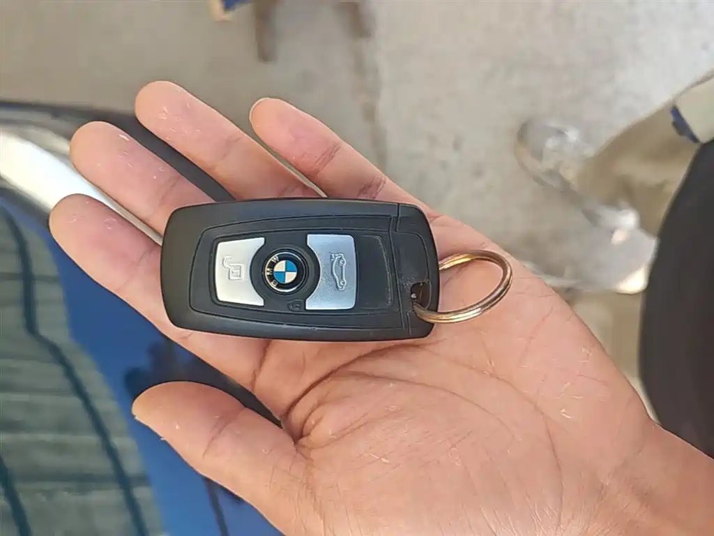 BMW 1 Series (Import) 2016 118i Leading фото 9