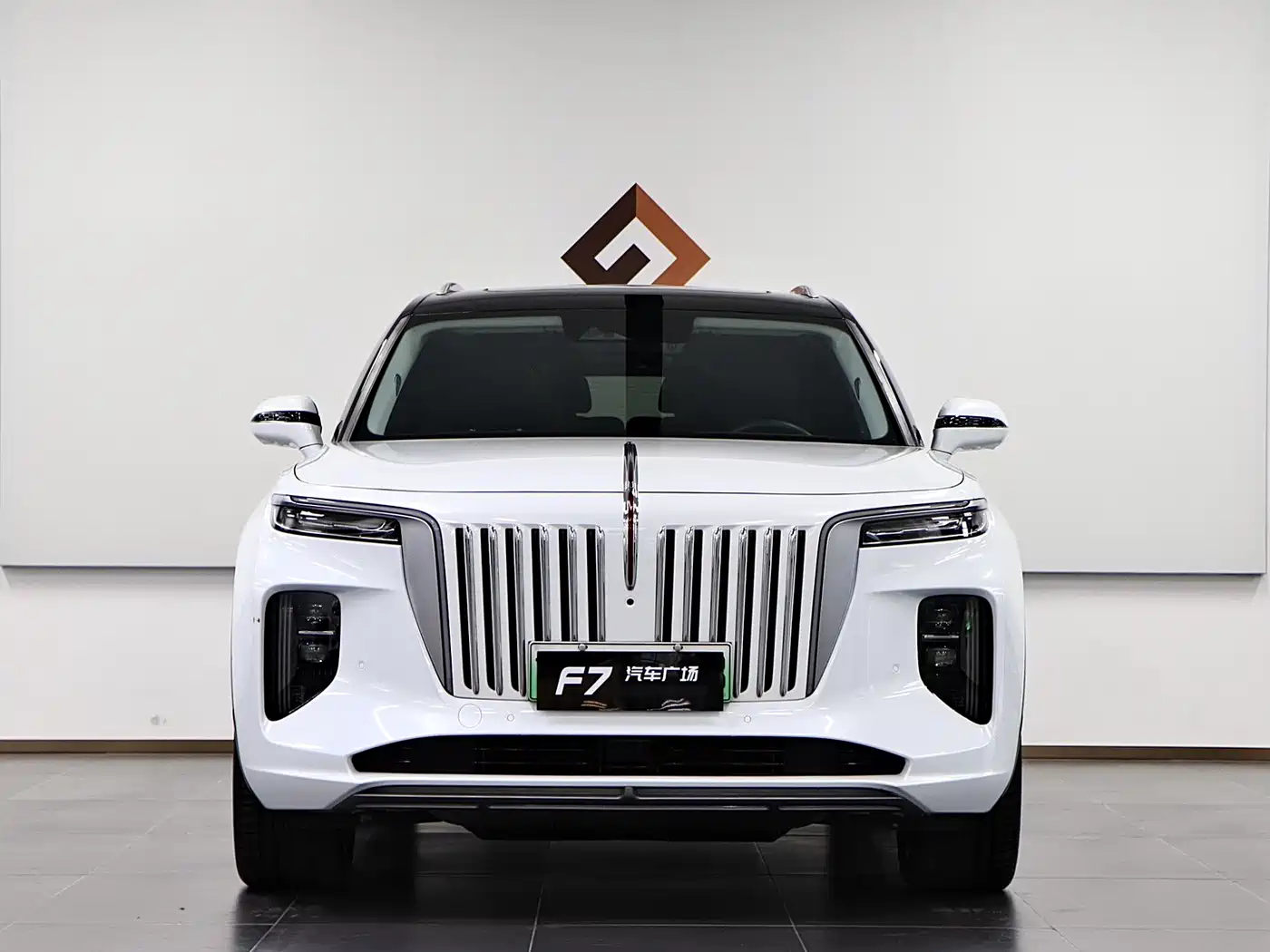Hongqi E-HS9 2022 660km Qi Chang Edition (6-seater) фото 2
