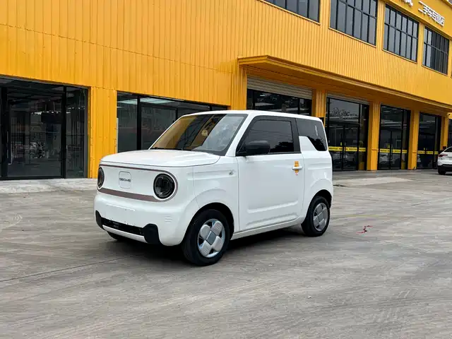 Geely Panda Panda, mini 200km, Выносливый мишка