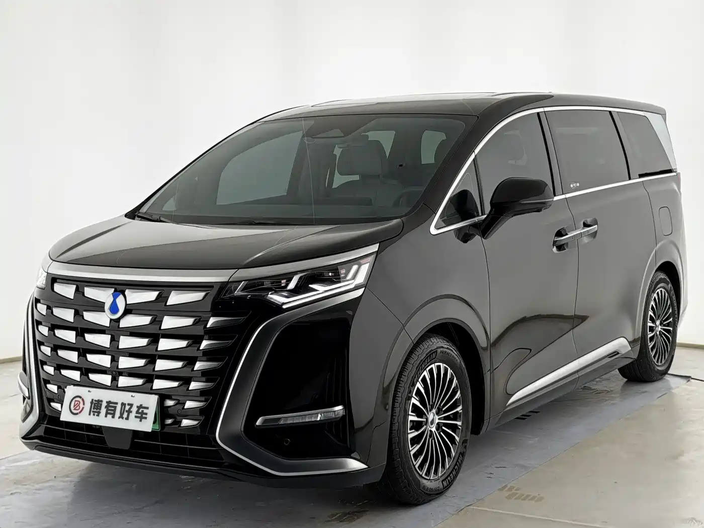 Denza D9 2023 2022 DM-i 970 All-Wheel Drive Honor Edition