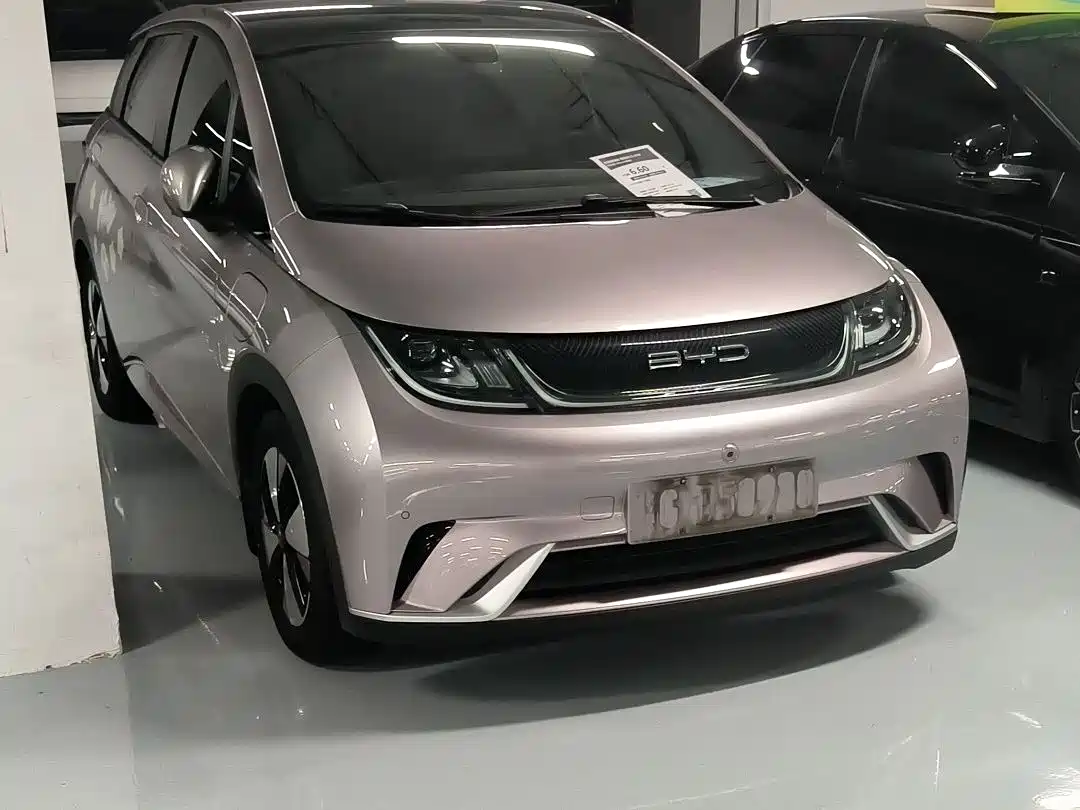 Фото 12 - BYD Dolphin