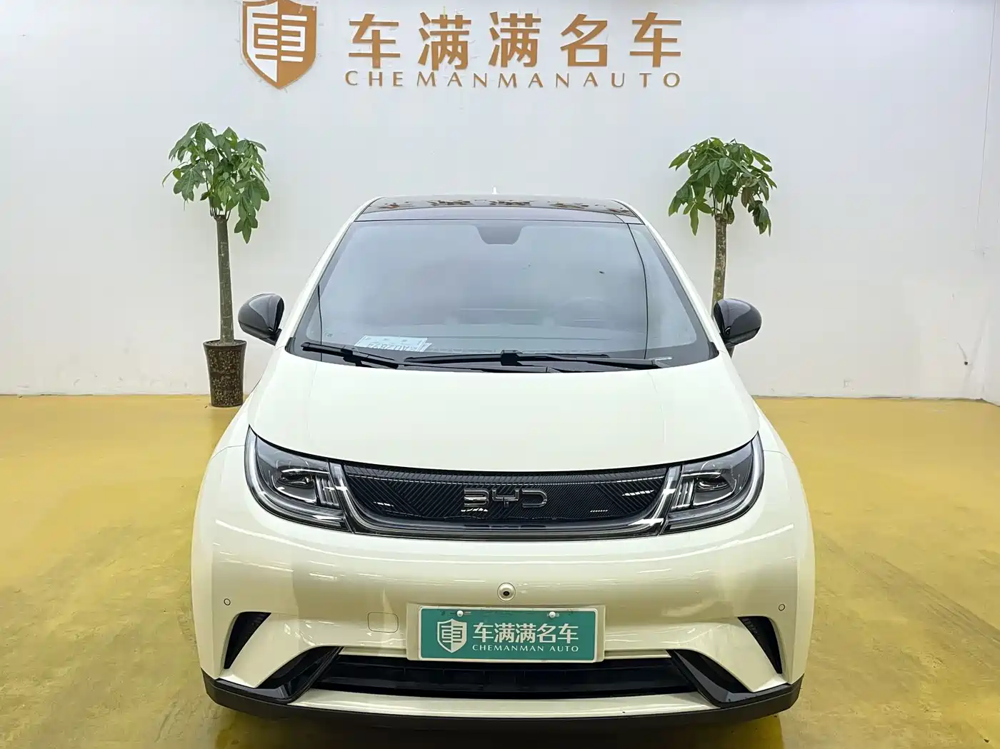 BYD DOLPHIN