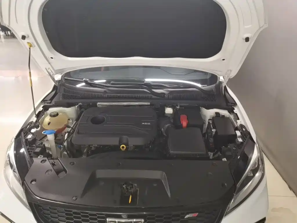 Фото 20 - Geely Binrui