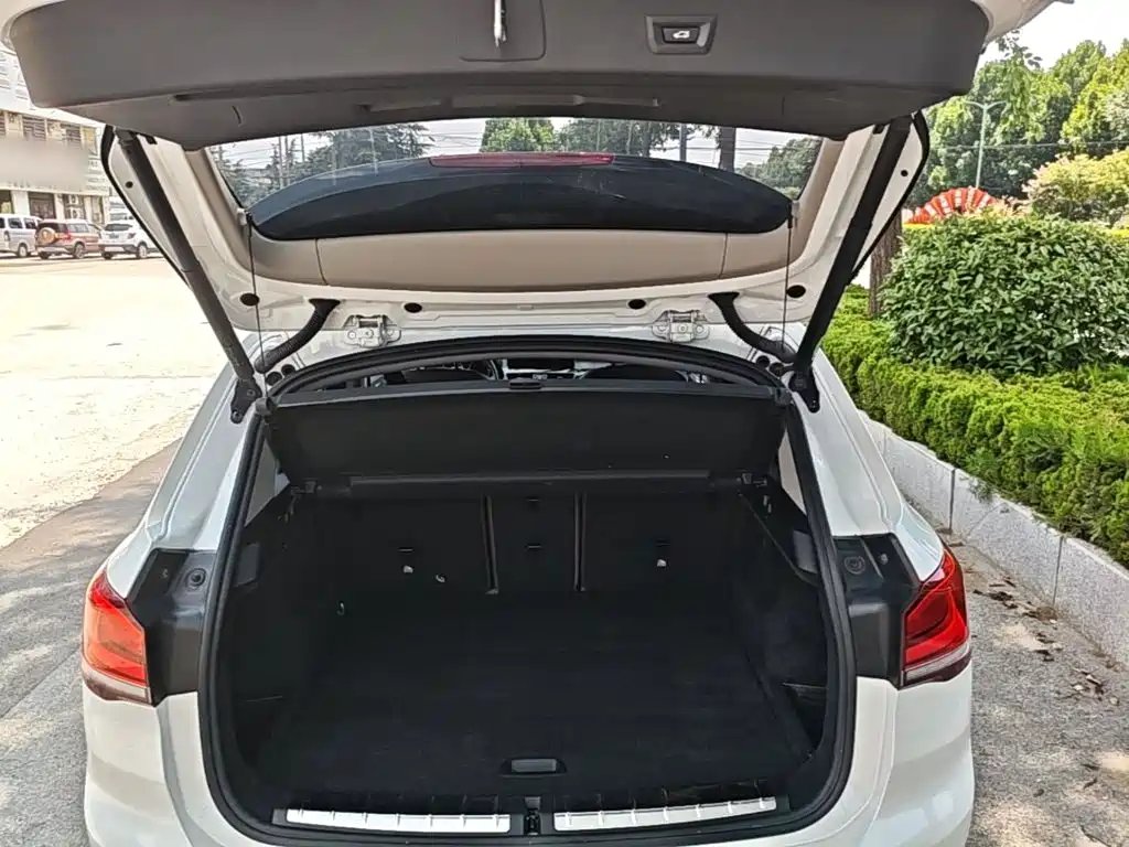 BMW X1 New Energy 2020 2020 xDrive30Le Premium Edition