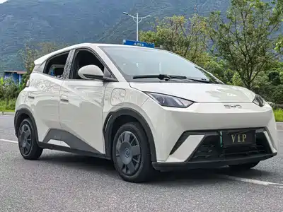 BYD Seagull