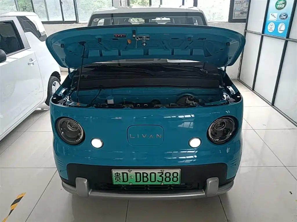 Ruilan Auto Ruilan Blue Elf 2025 2025 Base Model