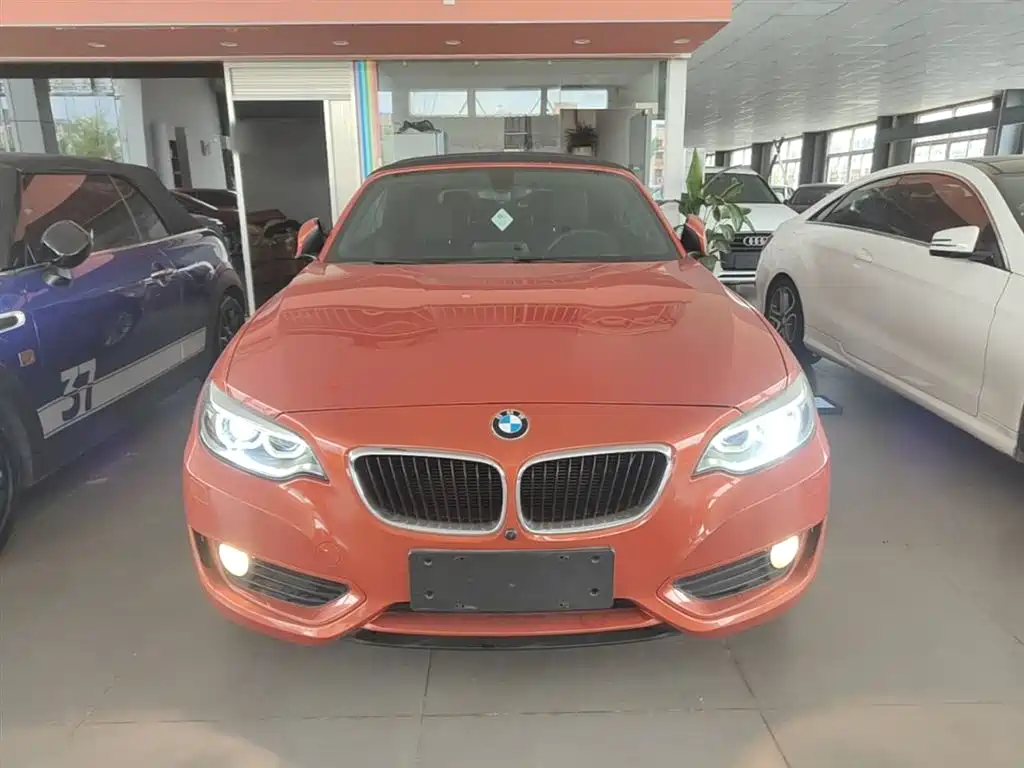 BMW 2 Series (Import) 2015 218i Convertible Coupe фото 3