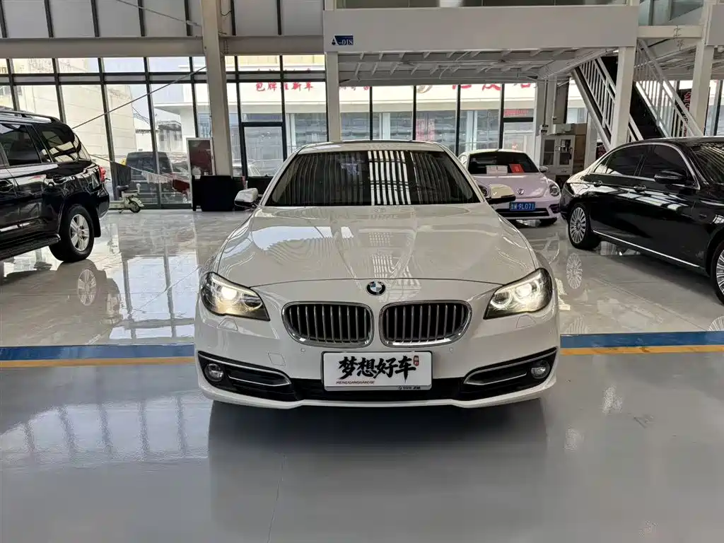 BMW 5 Series 2014 525Li Fashion Design Package фото 2