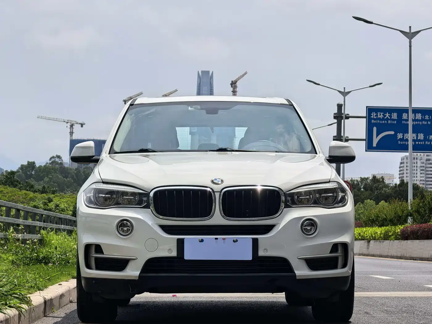 BMW X5 (Import) 2018 xDrive35i Elegant Model