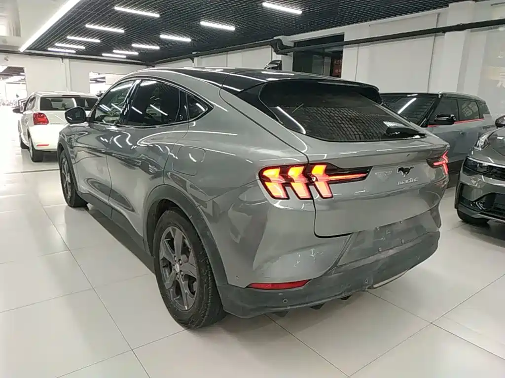 Ford Mustang Mach-E 2022 2021 Leap World RWD (Standard Range)