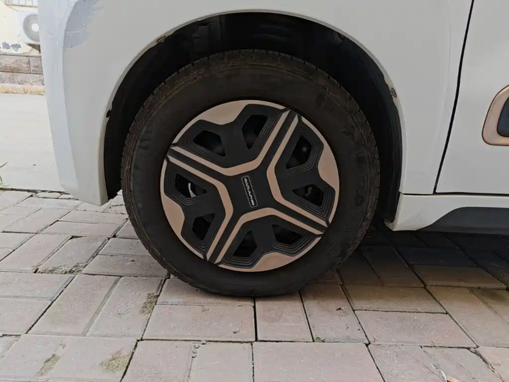 Baojun E200 2021 2020 305KM Smart Edition